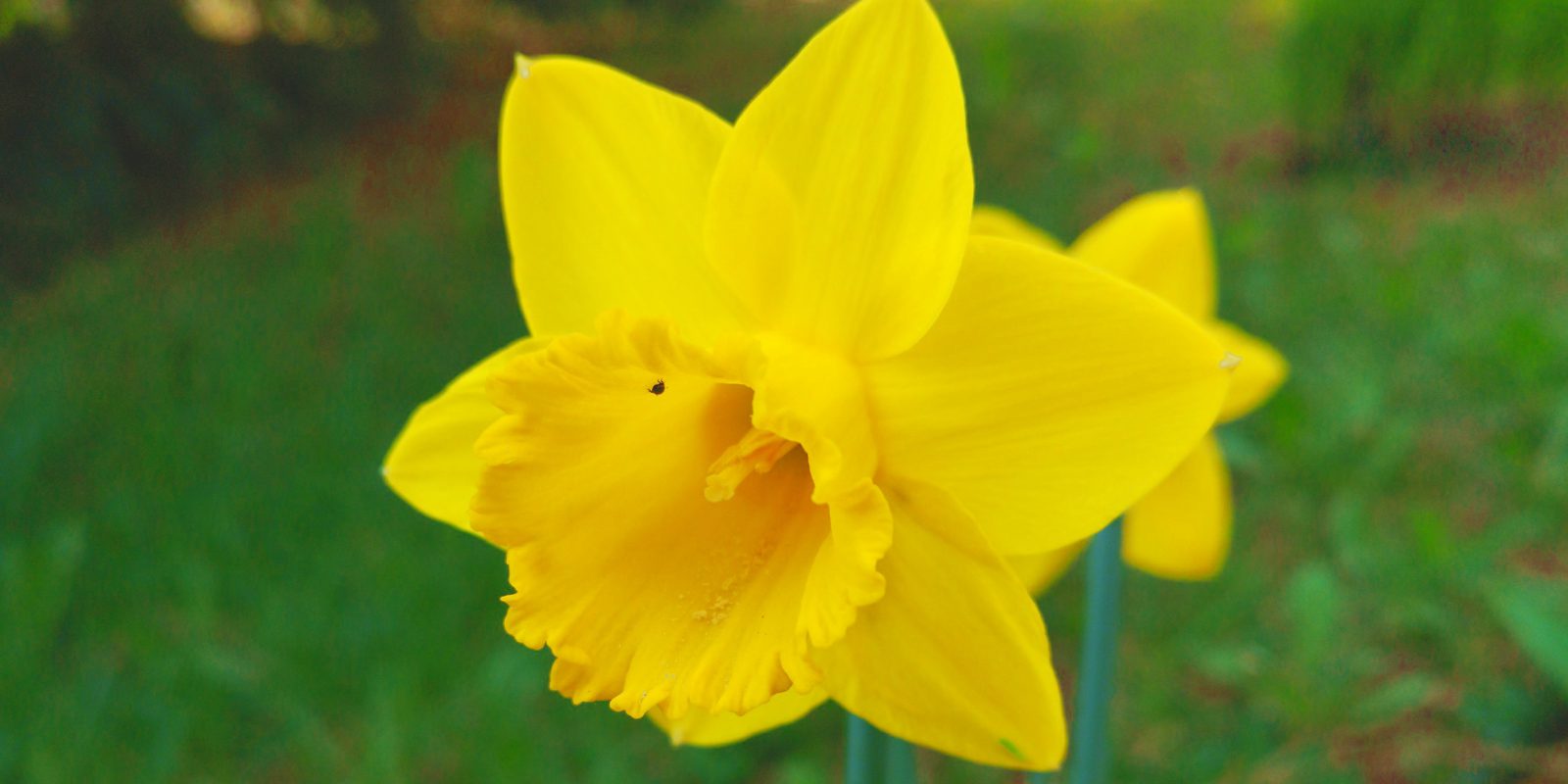 Kurzurlaub Ostern