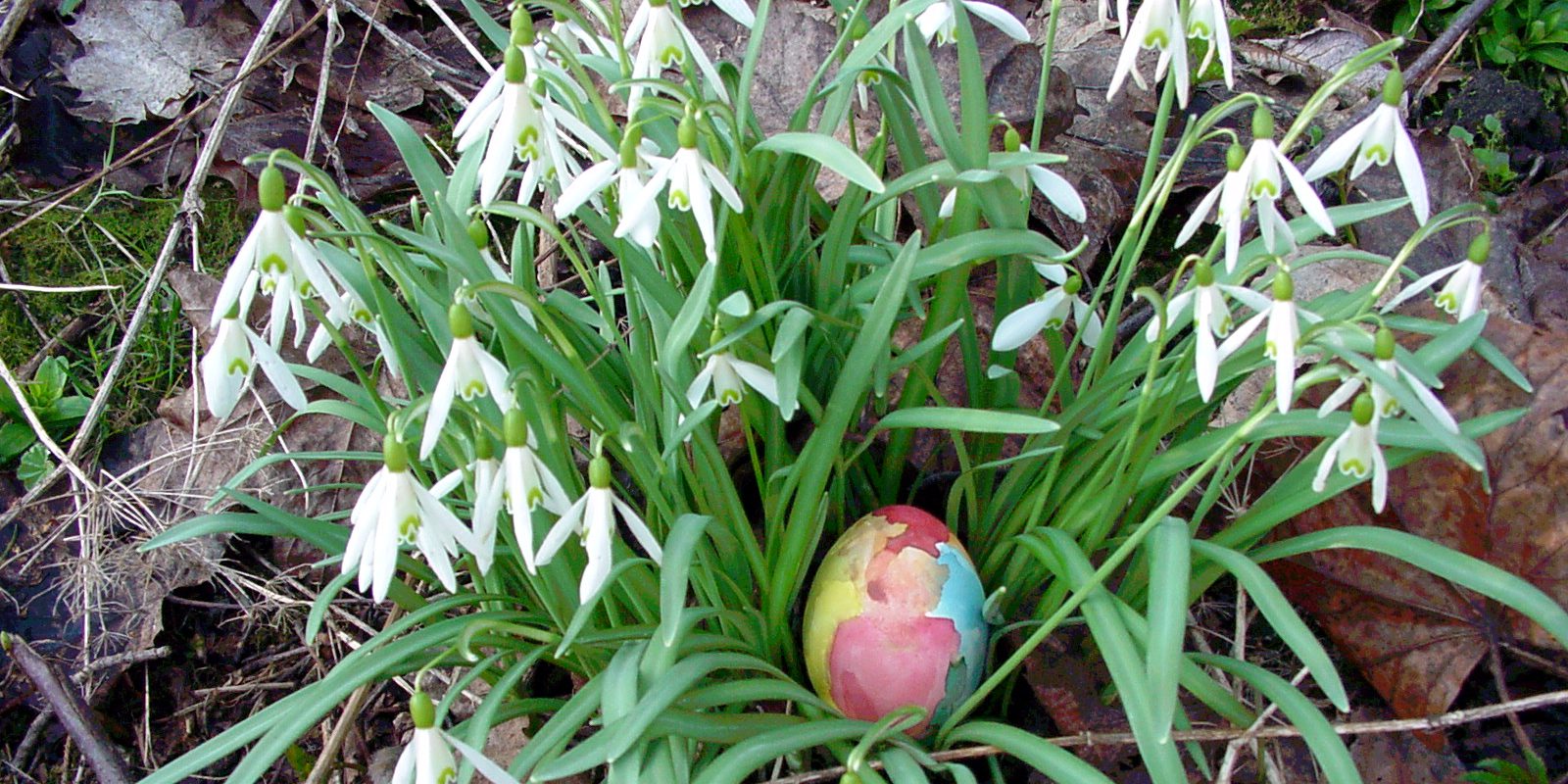 Weg über Ostern - Versteckte Ostereier